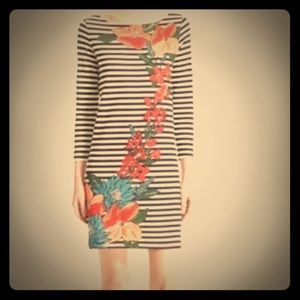 Nwot Tory Burch Dress